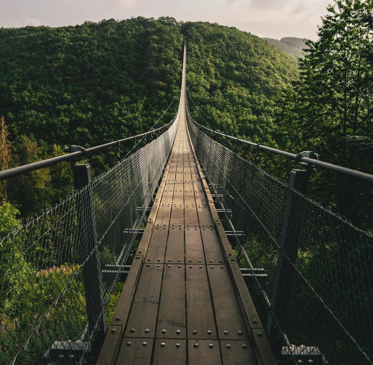 Coherencia y bienestar